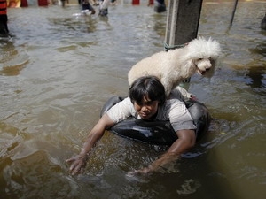 La Thaïlande débloque 10,5 milliards de dollars pour les victimes des inondations